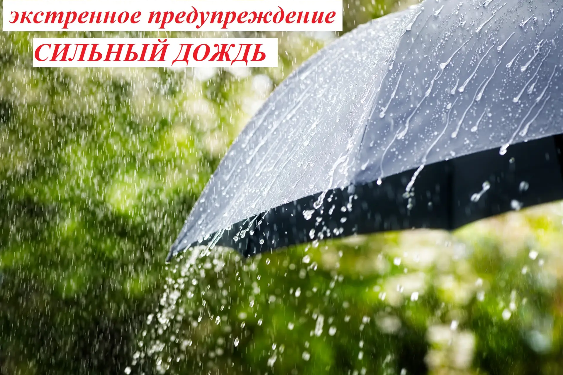 ВНИМАНИЕ❗ ЭКСТРЕННОЕ ПРЕДУПРЕЖДЕНИЕ❗ ️