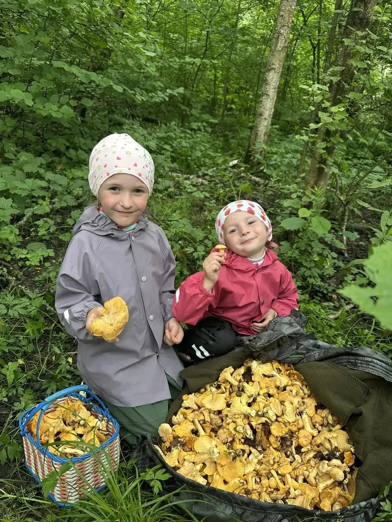 "ЛЕСНЫЕ СОКРОВИЩА НАШИХ СЛЕДОПЫТОВ"