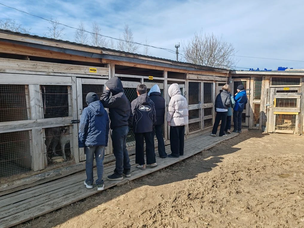 Сегодня ученики, родители и классные руководители 6А и 6Г классов приняли участие в акции "Белка и С