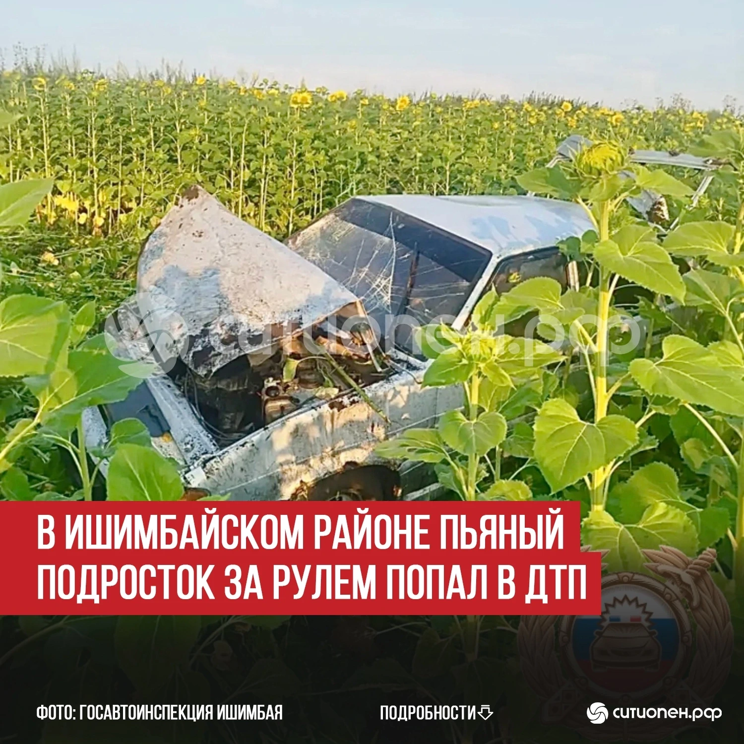 В Ишимбайском районе пьяный подросток за рулем попал в ДТП

В Ишимбайском районе произошло ДТП с уча