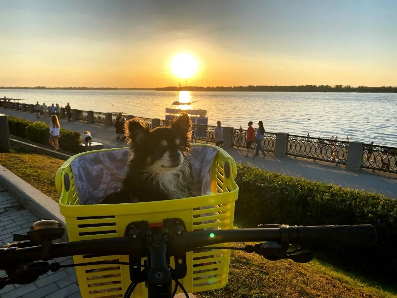 Доброе утро, Самара! ☕️

☀️ 28 июля столбики термометров покажут +23...+26 °C

⛅ Ожидается переменна