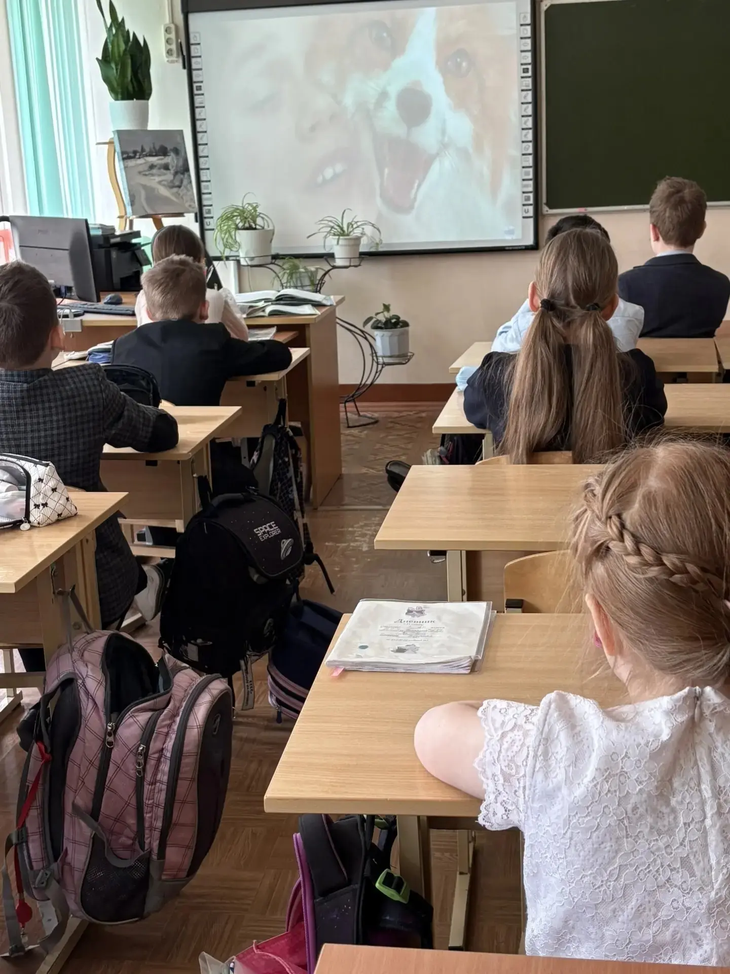 В нашей гимназии прошли киноуроки для учеников 3 и 4 классов, которые вызвали у детей живой эмоциона