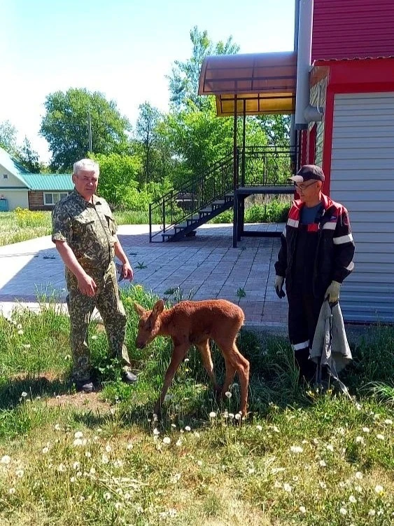 На территории детского лагеря, расположенного в живописном заказнике "Кунгак" обнаружил...
