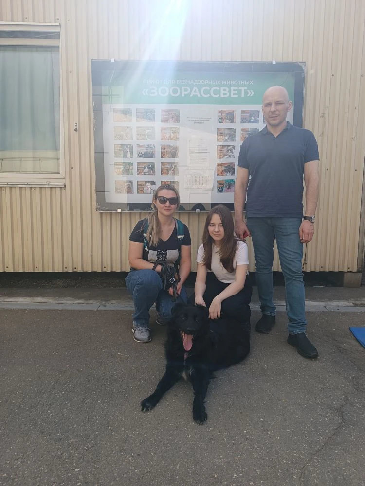#Выпускники_Доринвест: 12 животных приютов обрели хозяев 🐈🐕

🆕 Долгожданные новости о пристройств