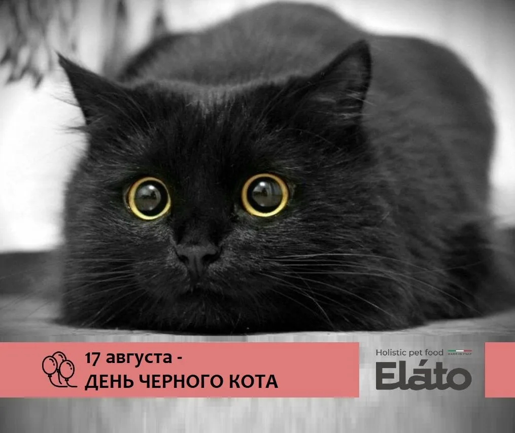 С началом новой рабочей недели, друзья! 👋