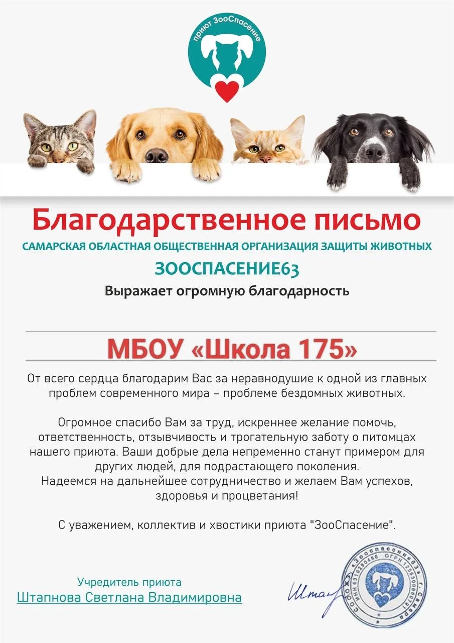 🐾 Добрые дела согревают ❤️  Наш 7А класс решил доказать, что мы в ответе за тех, кого приручили, и о