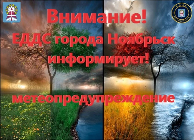 По данным Ямало-Ненецкого ЦГМС – филиала ФГБУ «Обь-Иртышского УГМС» 01 сентября 2026 го...
