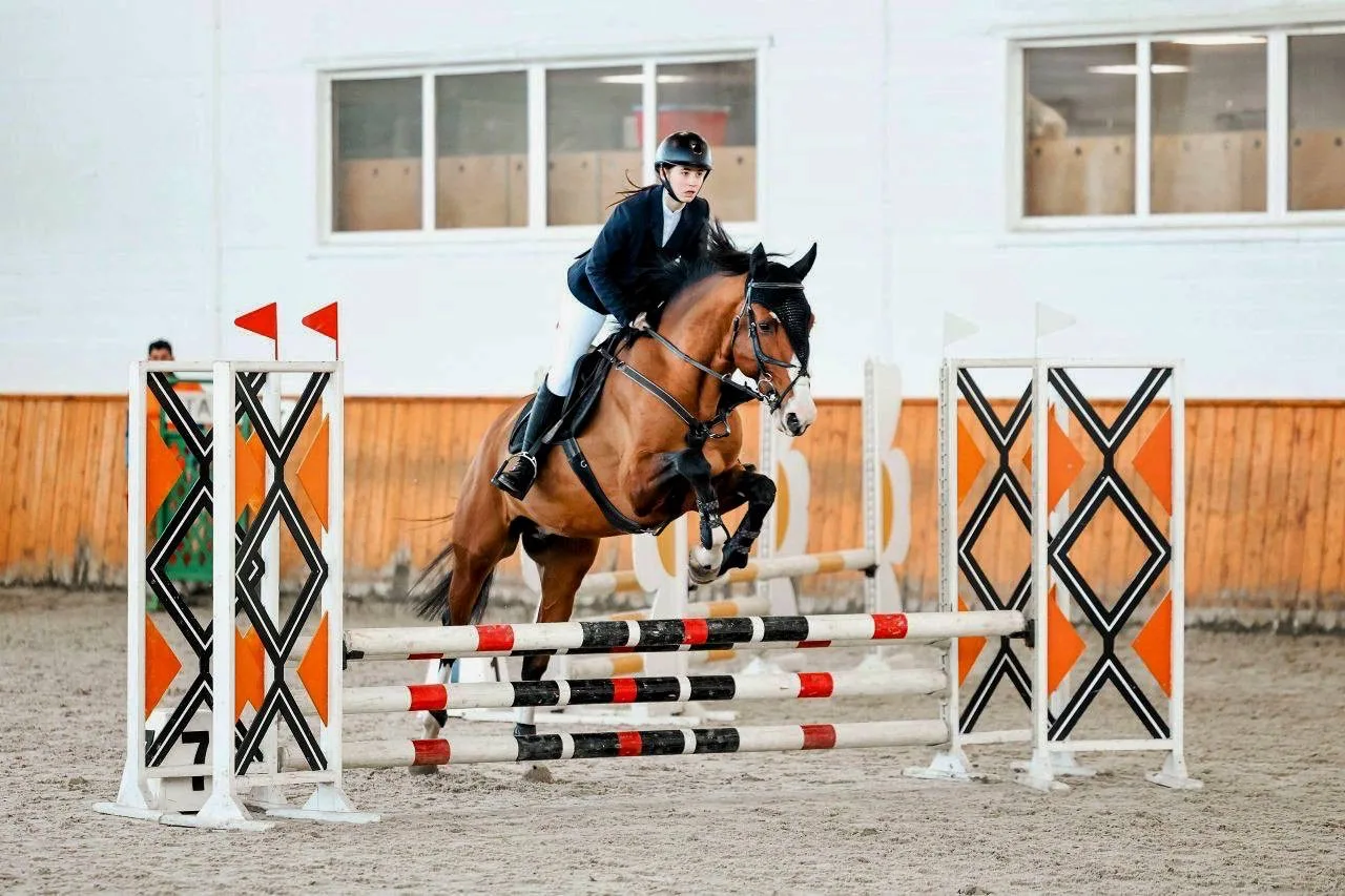 🐎 Весенний кубок по конкуру: выступление нашей студентки  Студентка 2 курса Колледжа РОСБИОТЕХ напра