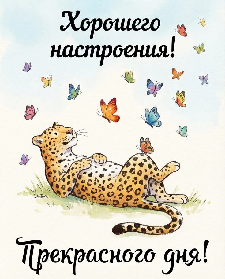 👉 Открытки в MAX – подписывайтесь