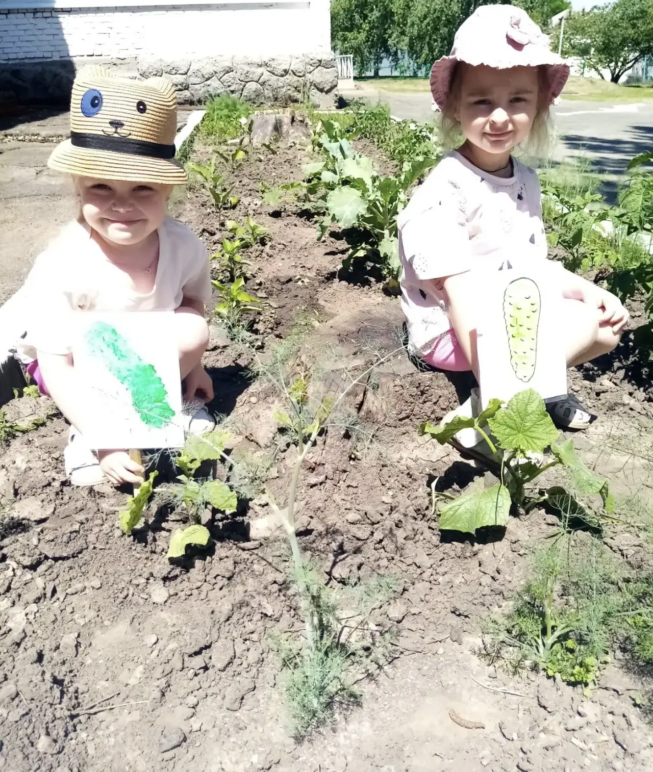 #НашДетскийОгород 🧒
#ЮныеАгрономы 🥕
#ДетиНаГрядках 🥔
#ВырастимСами 🌱
#Урожаю2026Быть 🍅
#НашиБуд