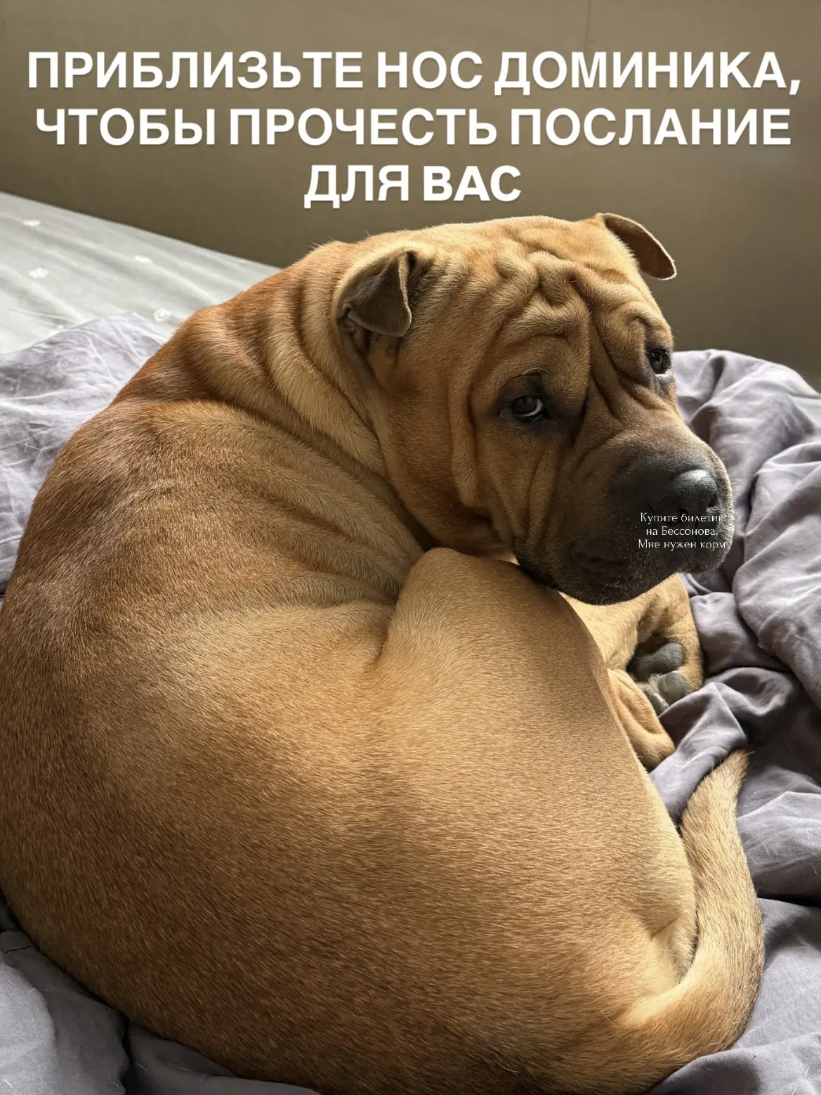 Миллениалы на собеседовании:
- Что вы умеете?
- Скажите, что нужно уметь и через 2 недели я буду это