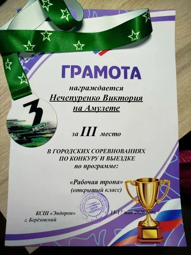 Ученица 8Е класса, Нечепуренко Виктория,  заняла 3 место в городских соревнованиях по конкуру и выез