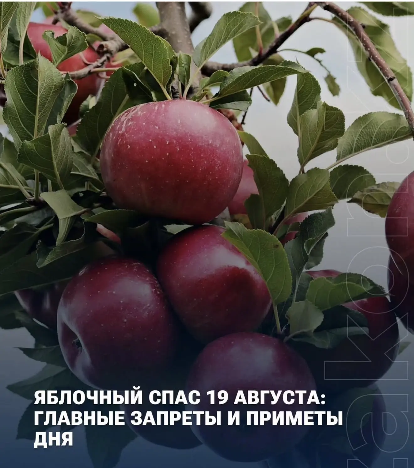 19 августа 2026 года в народе отмечают Яблочный Спас. 🍎🍏🍏