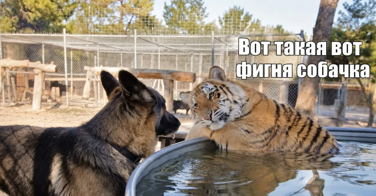 Изображение 1 к публикации «Питер 2026»