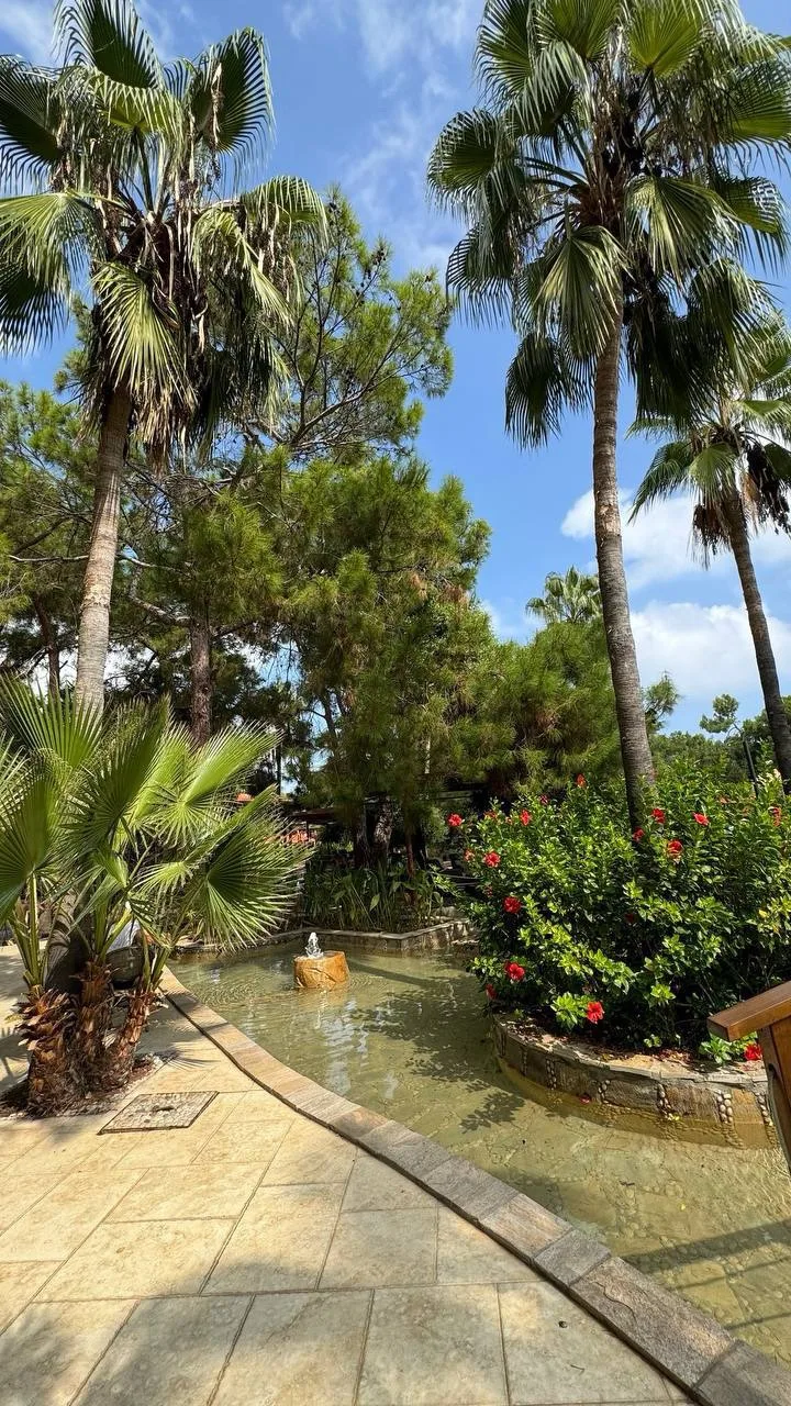 ТУРЦИЯ 🇹🇷