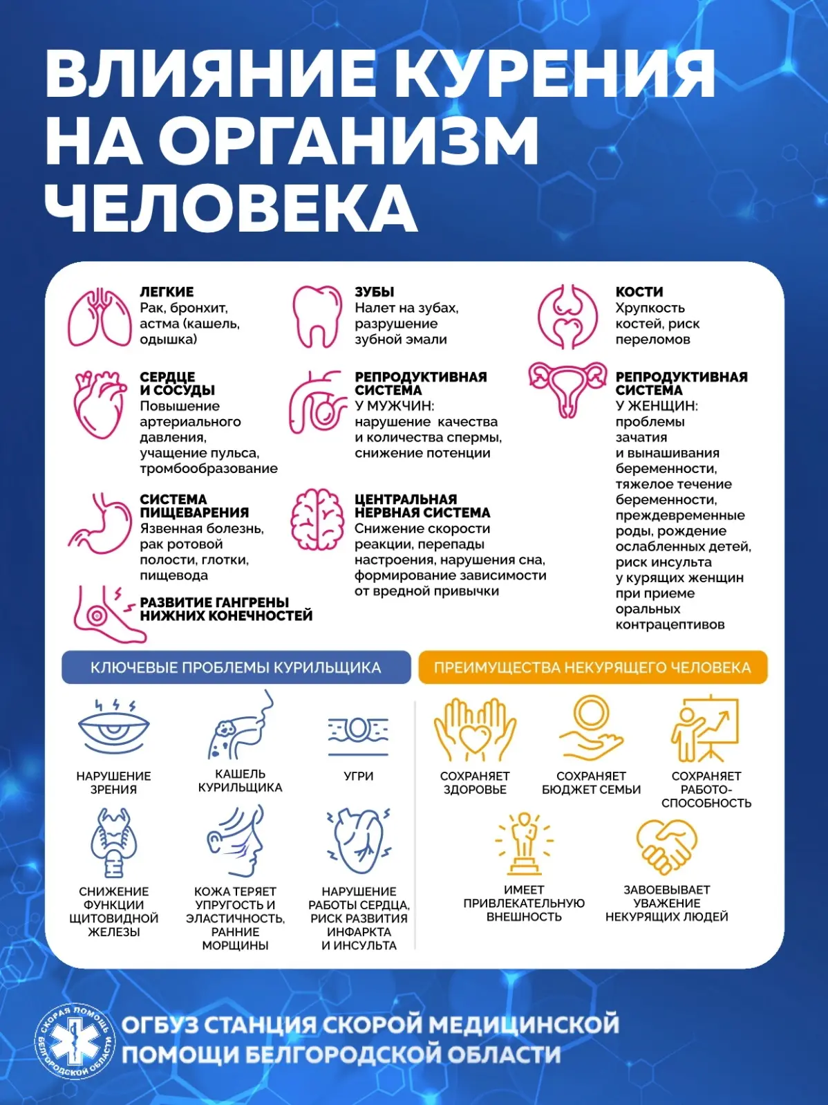 🚬 🚫 С 25 по 31 мая - "Неделя отказа от табака".

В эти дни особое внимание уделяется вреду курения