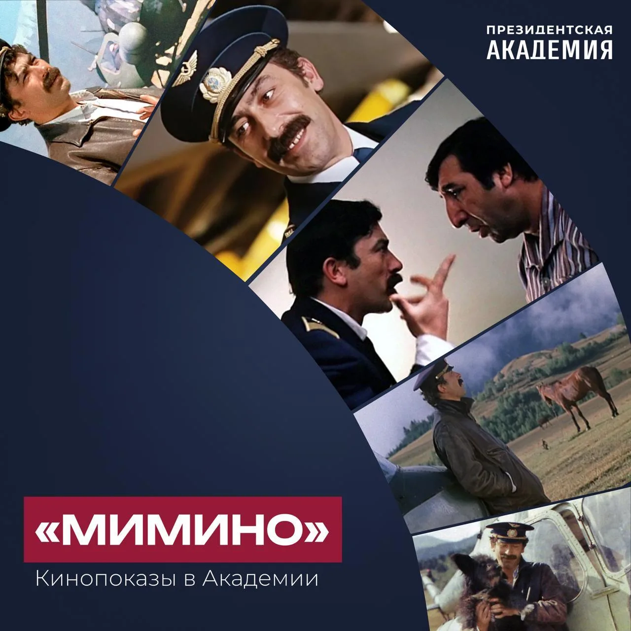 Летние кинопоказы продолжаются!