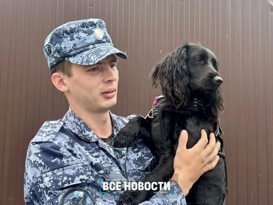 Изображение 1 к публикации «Нижний Тагил LIVE»