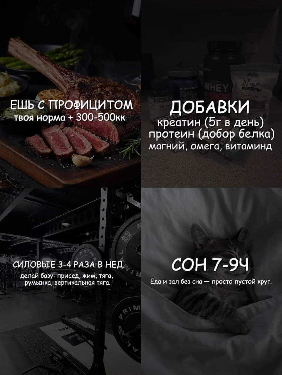 Как набрать мышечную массу 💪