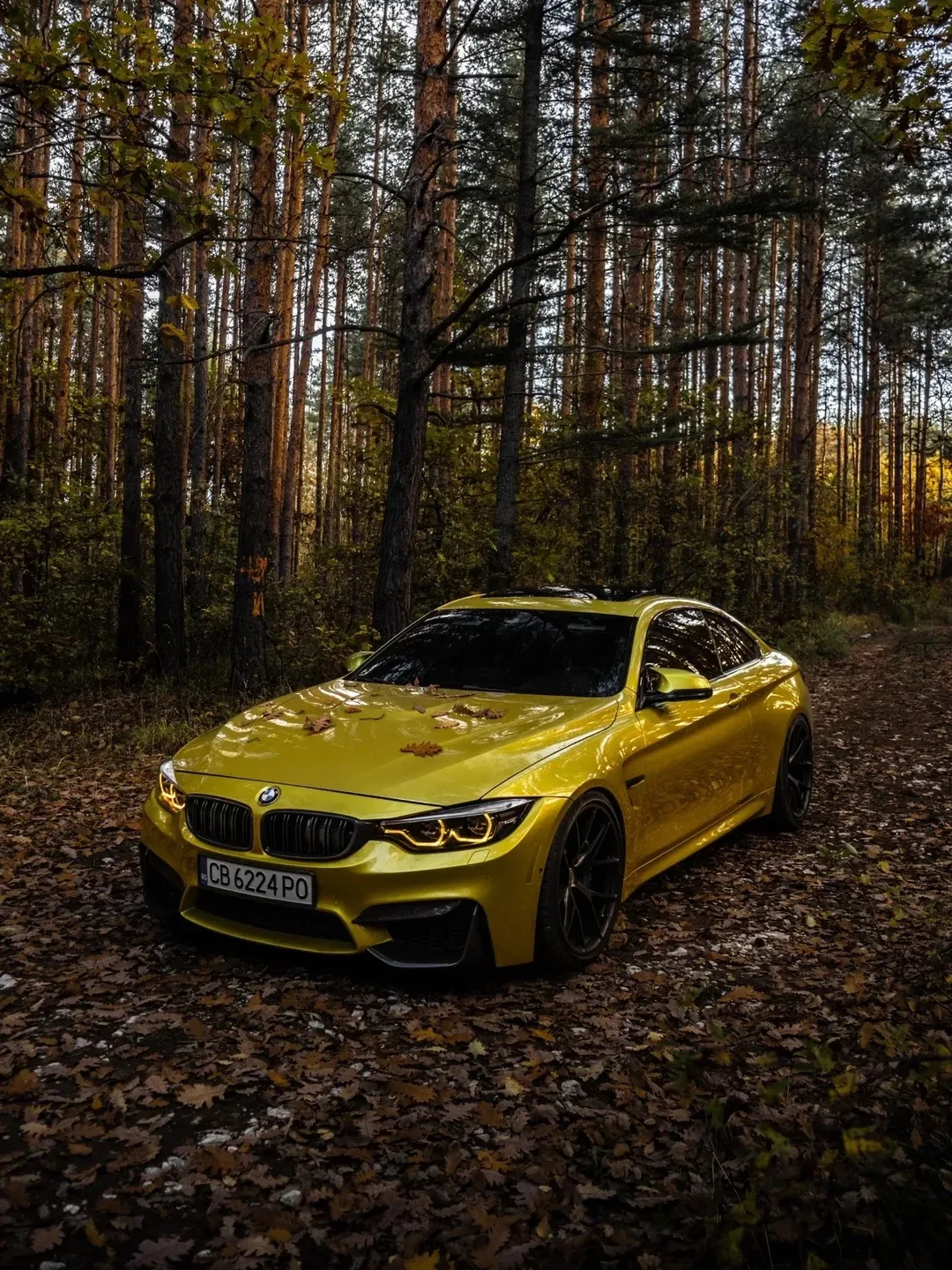 😍 - желтая