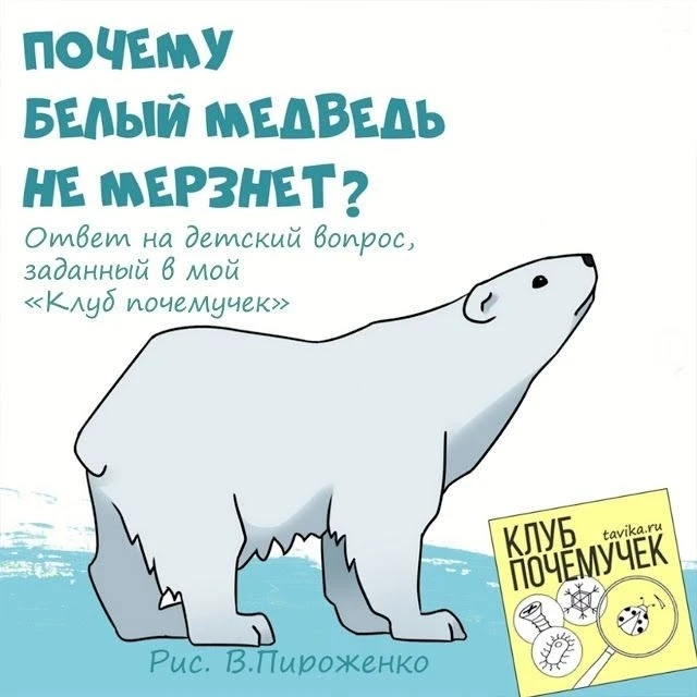 Сегодня, 27 февраля - Международный день белого медведя