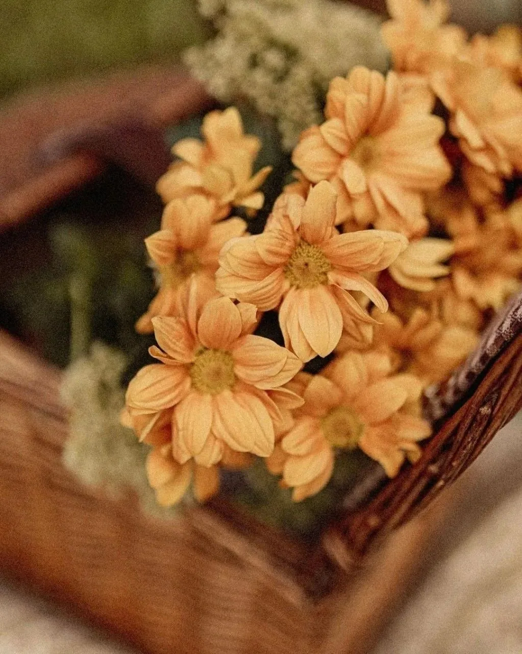🍂 Лето уходит...