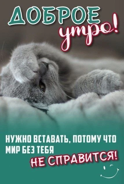 Доброе утро! ☘

Вот что есть, то есть! 😊😉❤️

👠 Быть Леди
