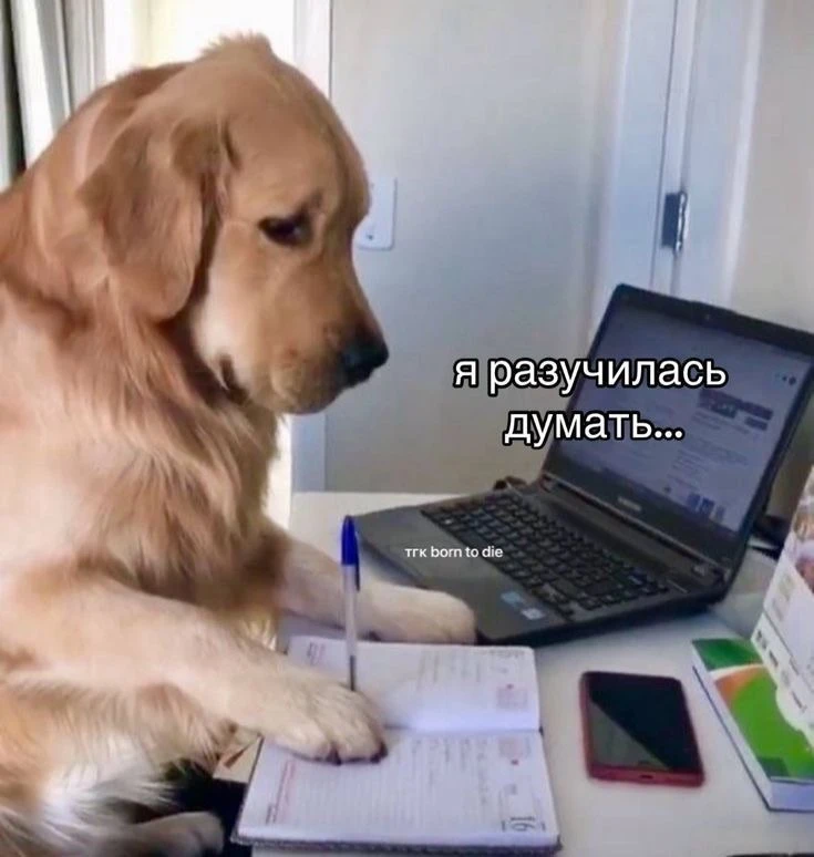 С 1 сентября, мои дорогие! 📚