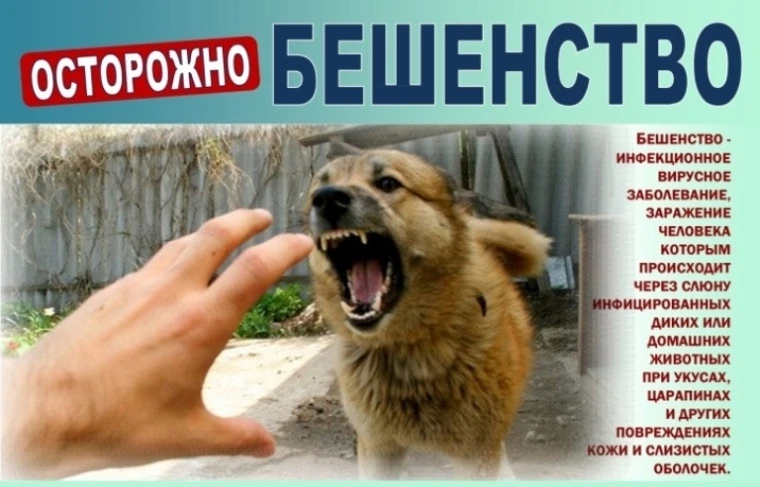 09.07.2026 Специалистами Мошенской райветстанции будет проводиться бесплатная профилакт...