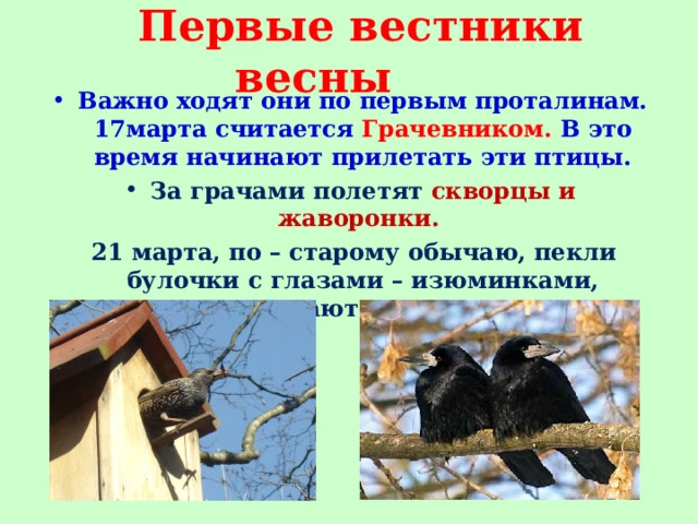 Сегодня отмечается народный праздник "Герасим - Грачевский", посвященный прилету грачей...