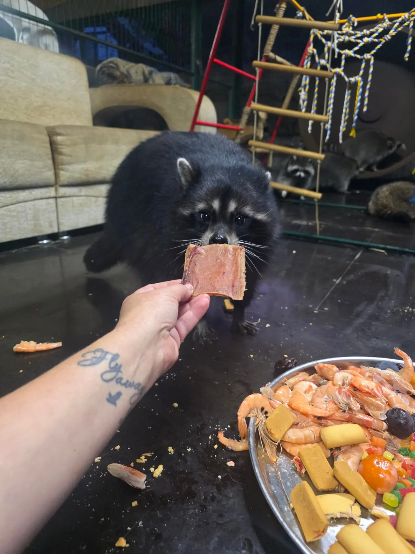 Приятных сновидений❤