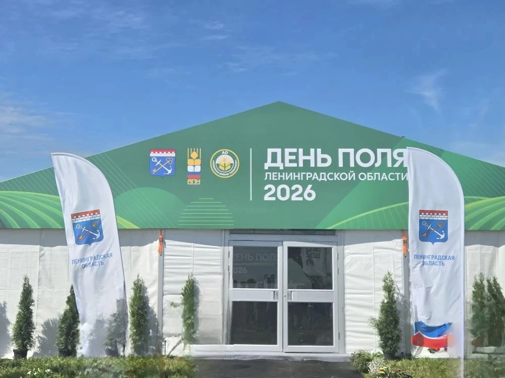 Вчера площадкой для Дня поля Ленинградской области стали поля племхоза имени Тельмана. 

День поля т