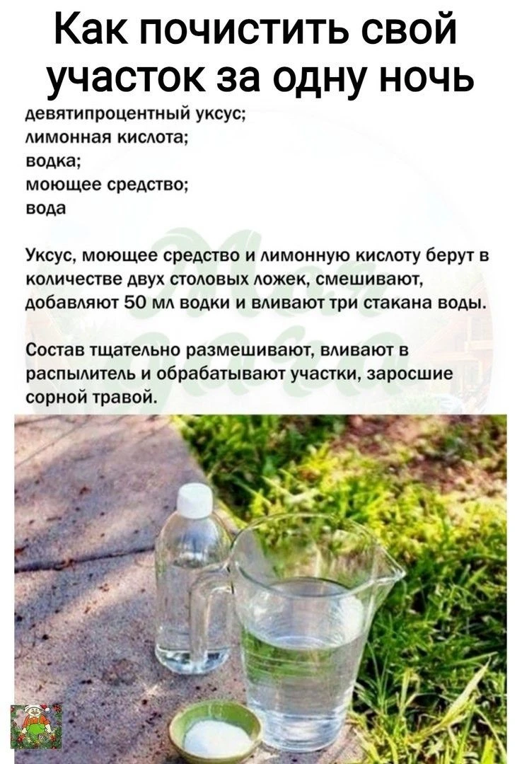 Как почистить свой участок за одну ночь🔥