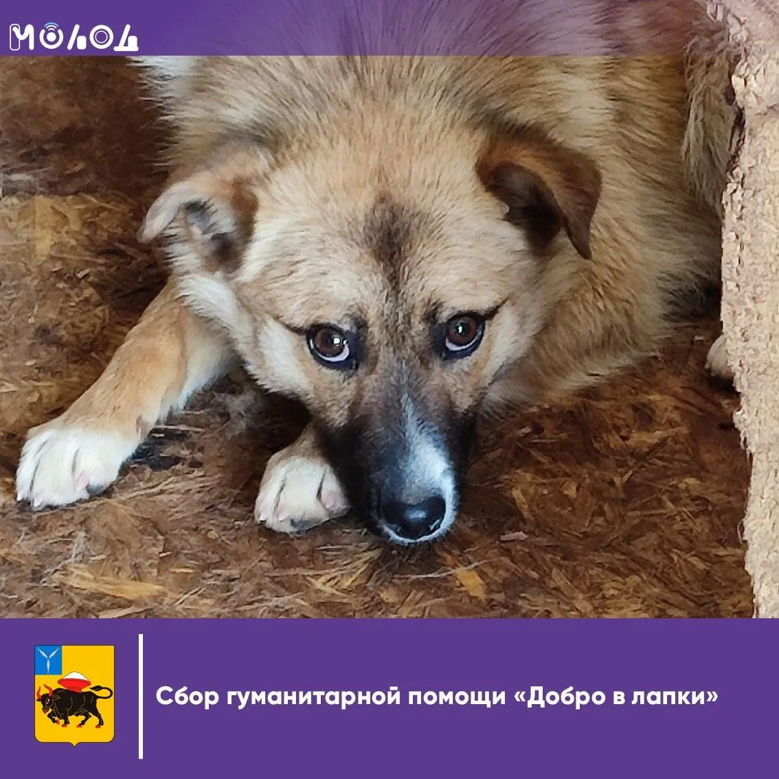 Дорогие друзья! В июне на территории Энгельсского муниципального района проводится акция «Добро в ла