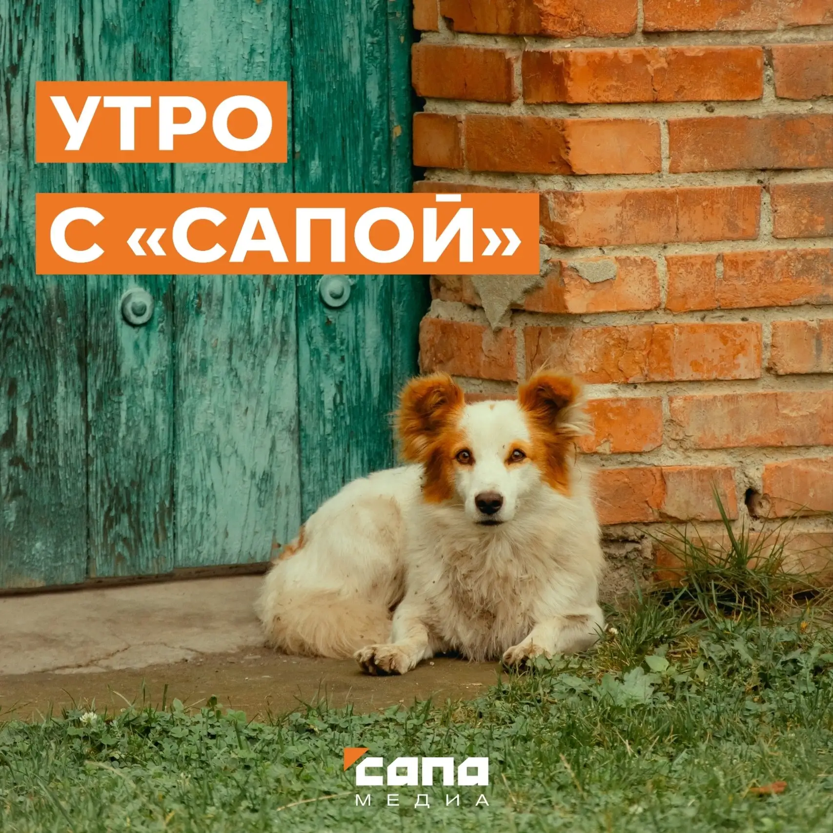 Информация, которая может тебе пригодиться