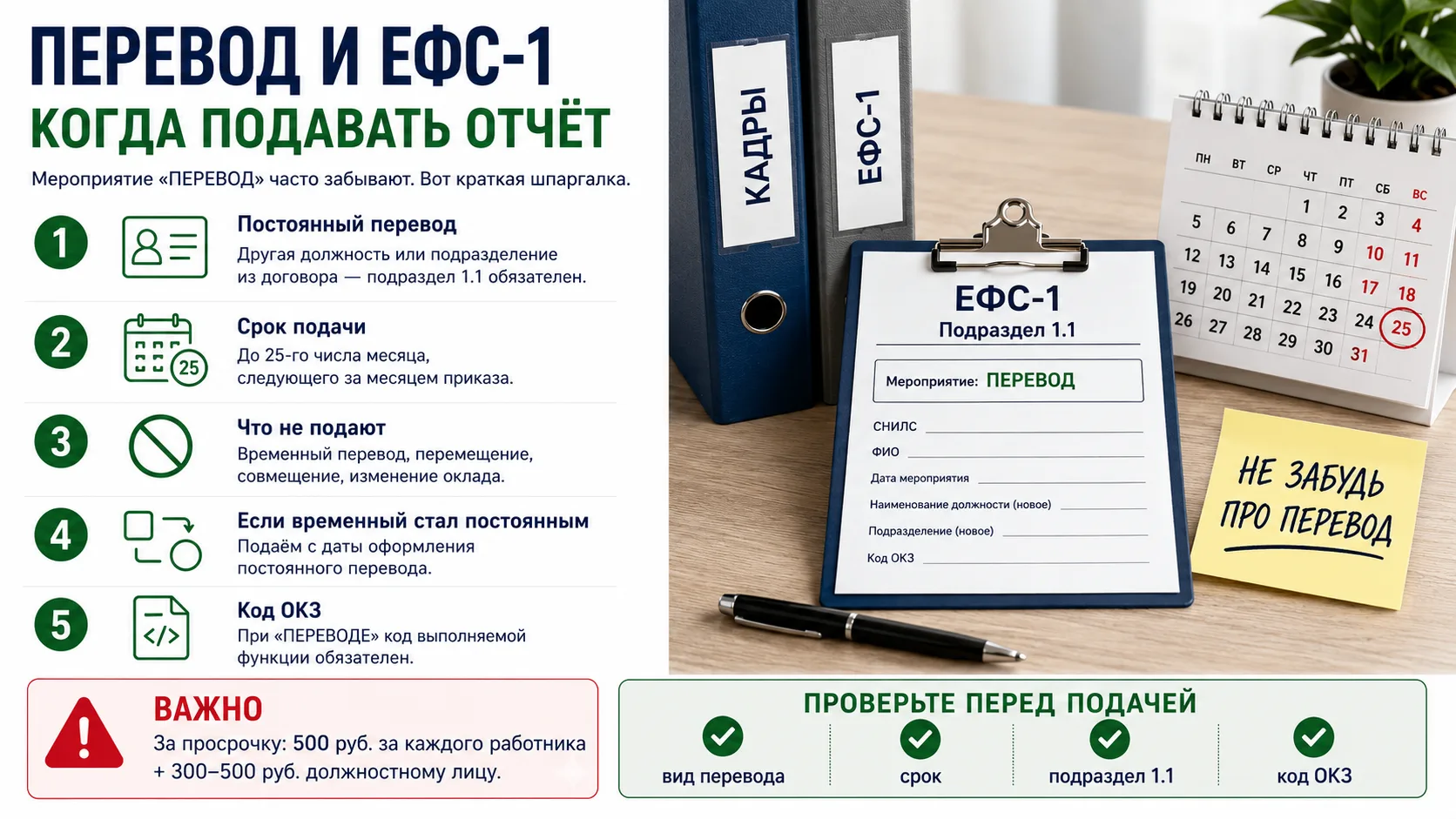 Перевод и ЕФС-1: шпаргалка, когда подавать отчёт