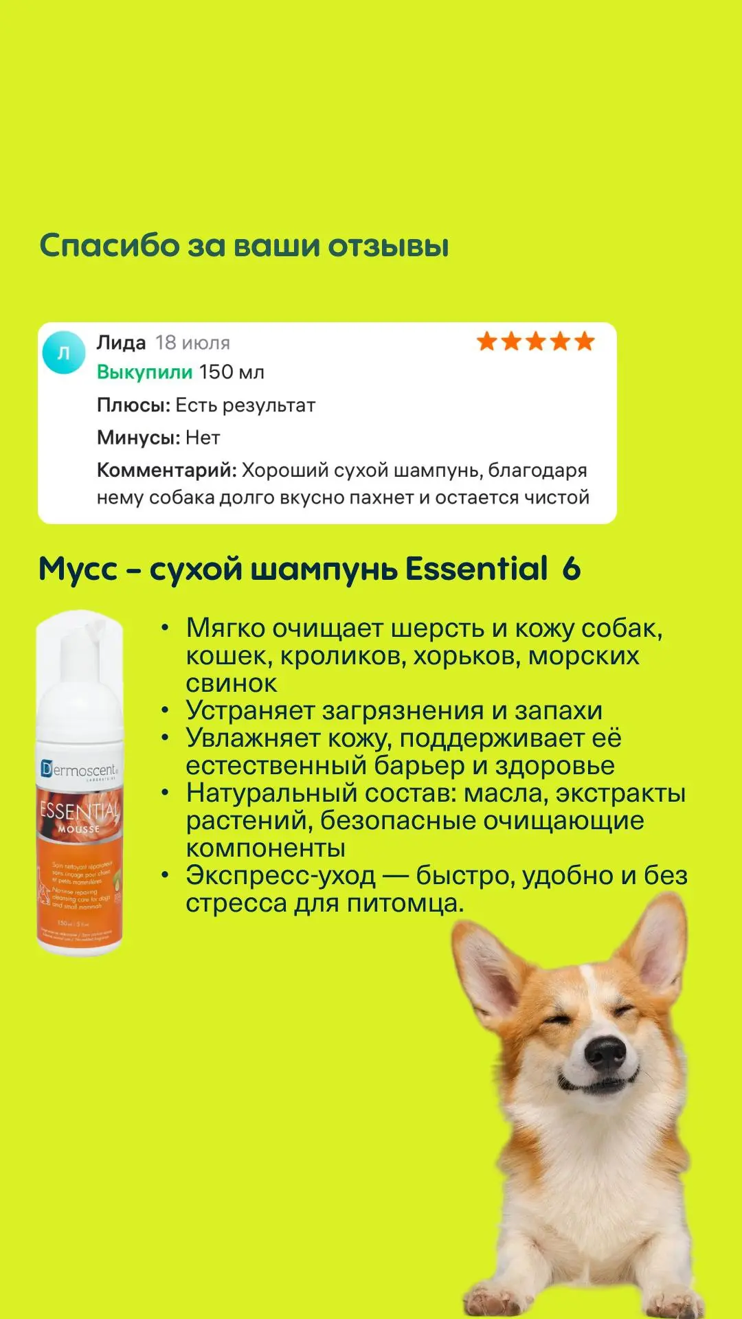 «Грумер отмечает отменную шерсть»