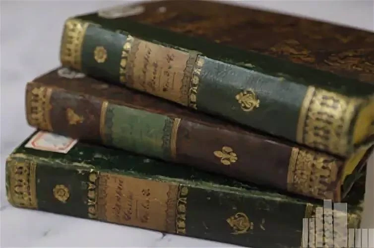 В Донской публичной библиотеке покажут редкое издание о Доме Романовых📕 

С 1 по 30 июня в Центре к