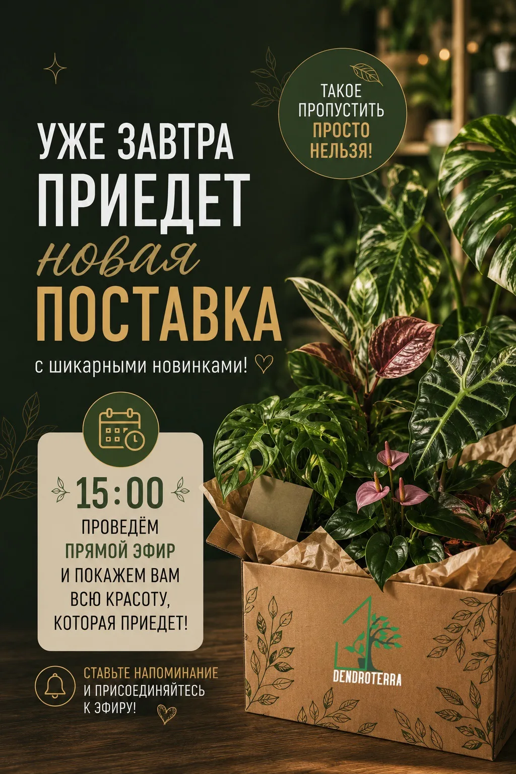 🌿 УЖЕ ЗАВТРА — НОВАЯ ПОСТАВКА В DENDROTERRA!

К нам приедут шикарные новинки, которые точно нельз