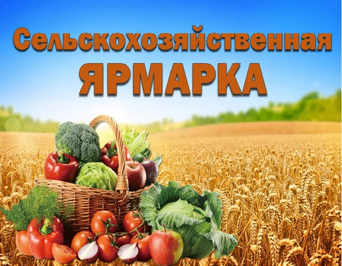 🌽3 октября — день большого урожая: ярмарка в Кувандыке