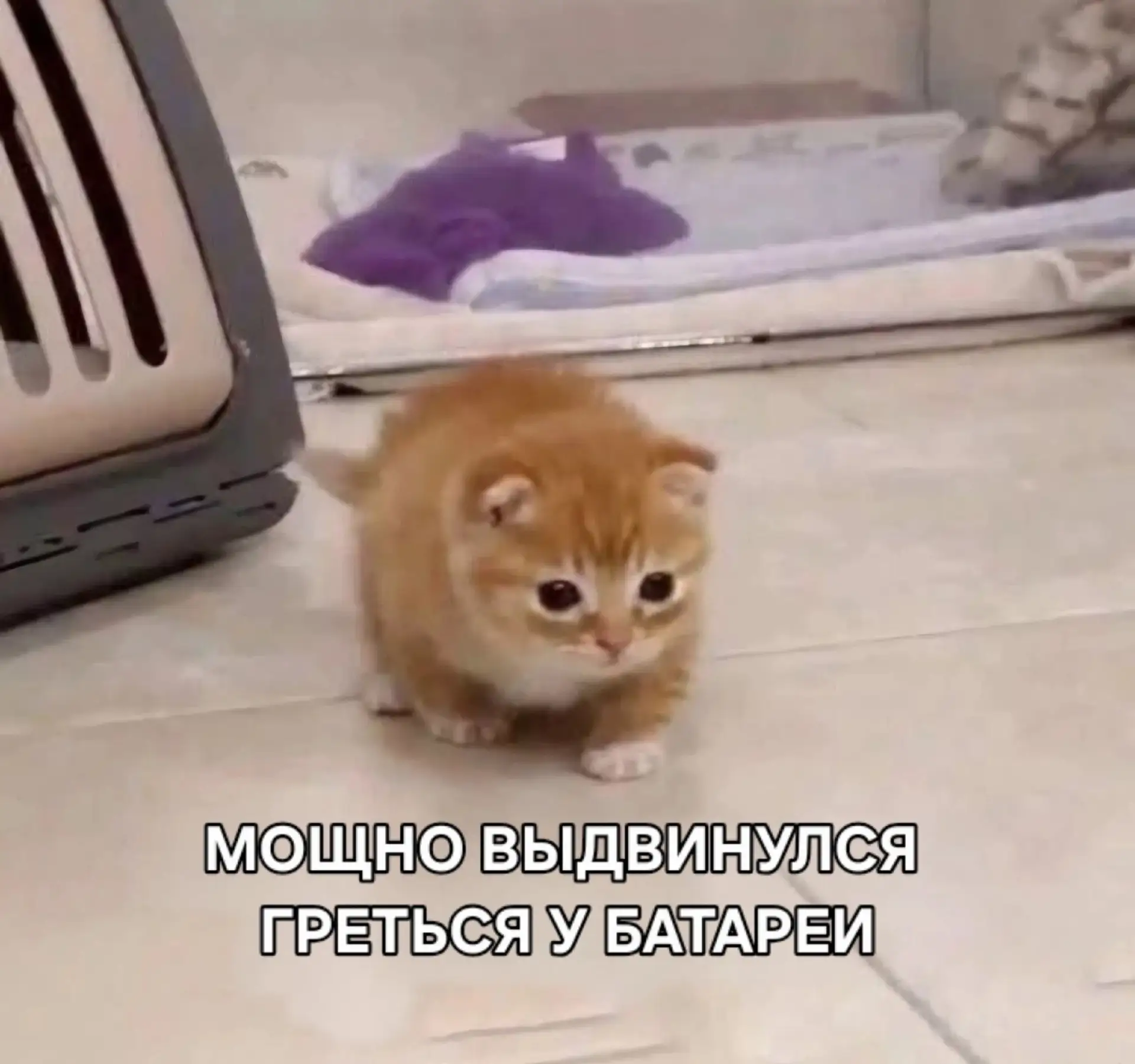 Завтра в Москве начнётся отопительный сезон — объявил Сергей Собянин.
