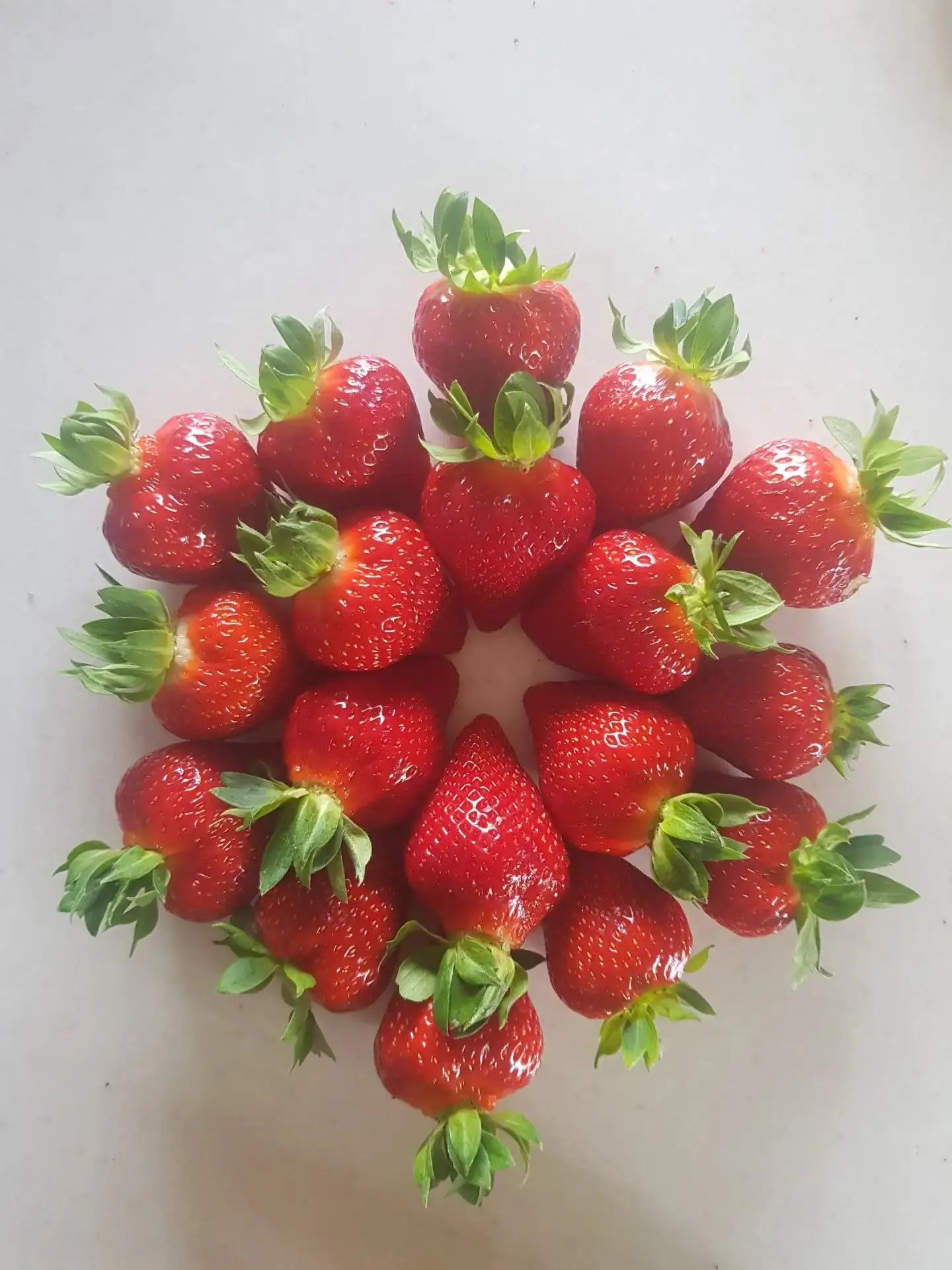 🍓🫐Дорогие друзья, прямо сейчас на нашей ферме ягодное изобилие!
 
Приглашаем за свежесобранной вку