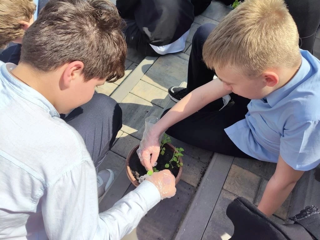 🌱 Наша школа цветет! 🌸 Ученики 7В класса - настоящие герои "Зеленой весны 2026"! 🌳    Сегодня, 7 мая