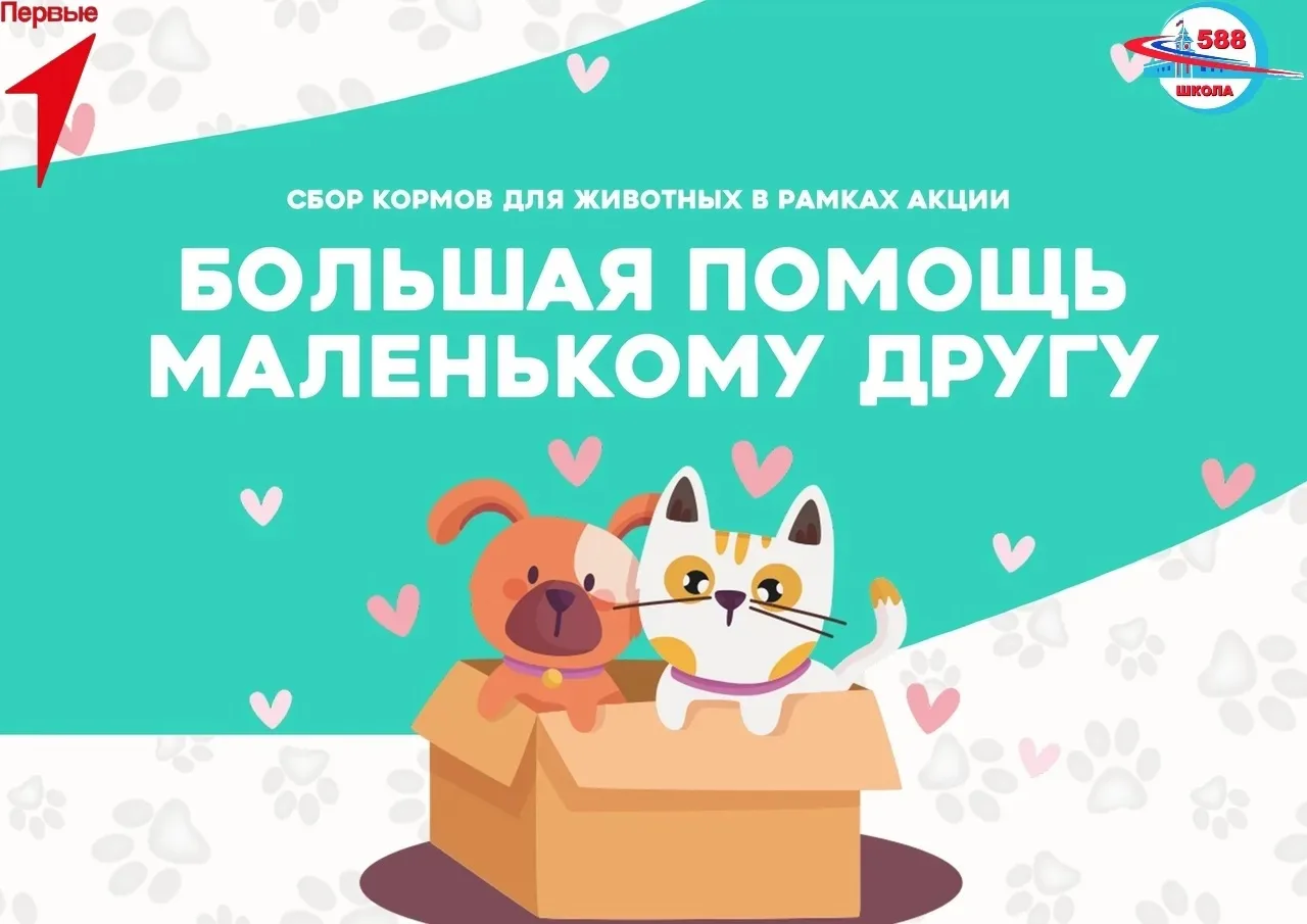 🐶Благотворительная акция "Большая помощь маленькому другу"🐶