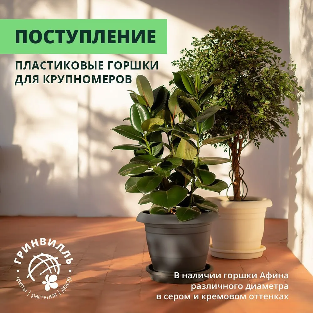 🪴 ПОСТУПЛЕНИЕ! КАШПО ИЗ ПЛАСТИКА "АФИНА" ДЛЯ КРУПНОМЕРОВ 🪴