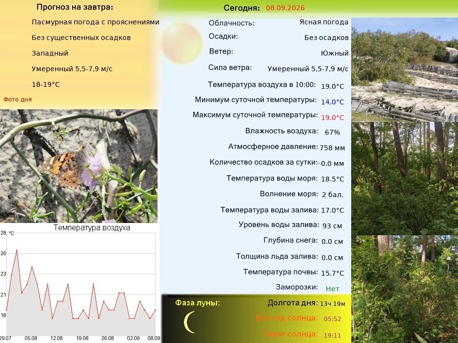 Ненадолго к нам заглянуло лето: у бабочек фотосессия, у улиток - дефиле.