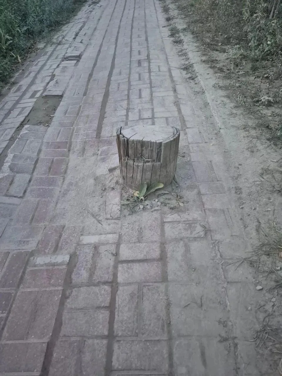 Пень у "Водоканала", о котором мы сообщали, убрали. До и После.