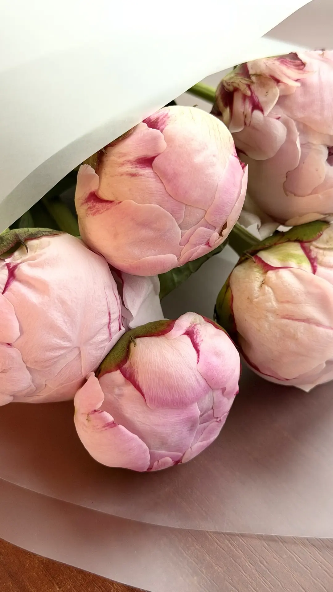 Случилась сильнейшая нехватка витамина F (flowers) 🌸 

И вот уже букетик свежих пионов экстренно от