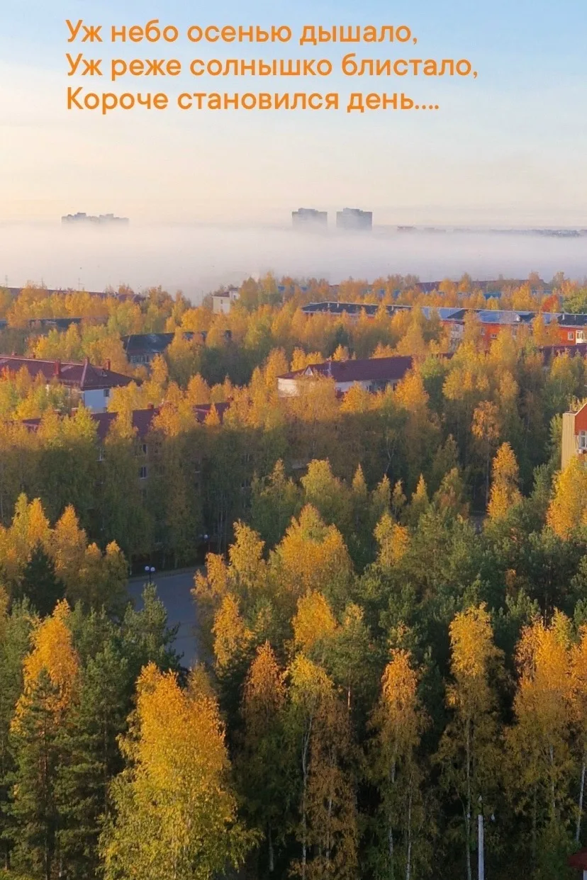 Доброе утро 🍂