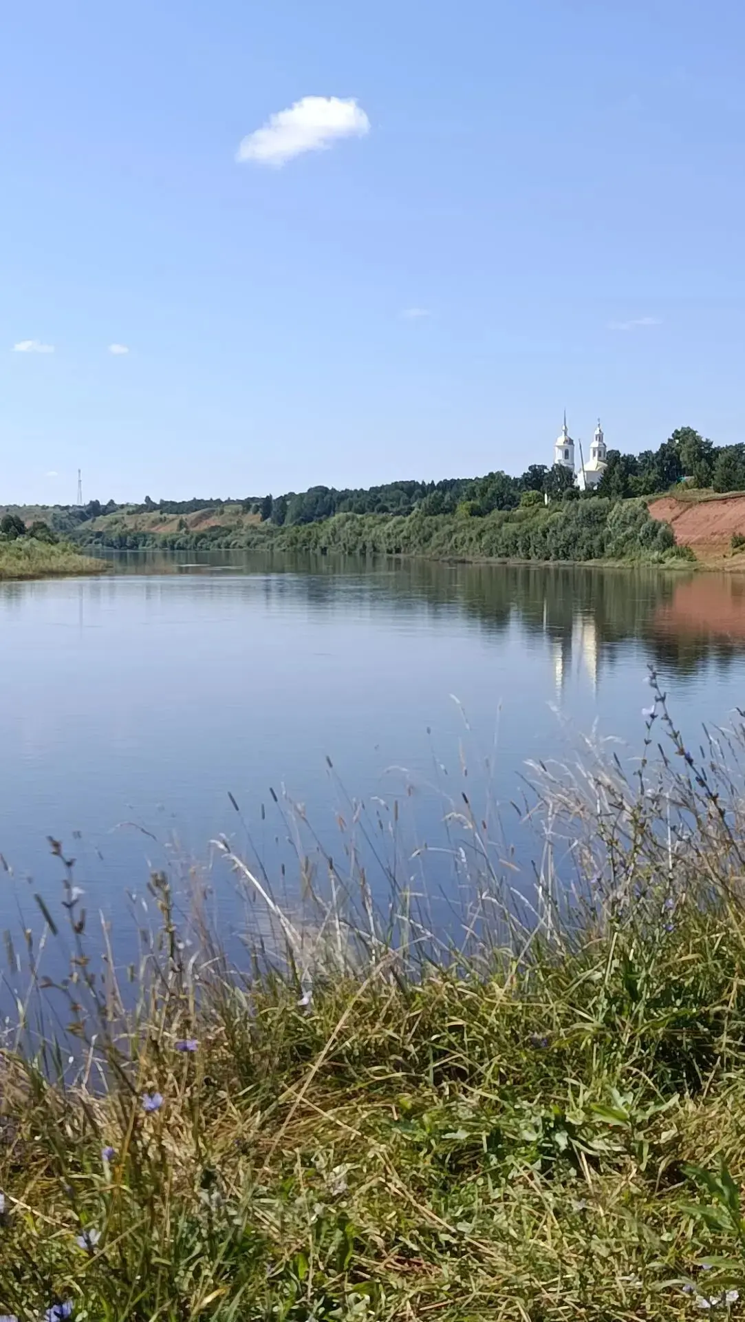 Родительский патруль не дремлет. Контроль и бдительность! На обратном пути с берега реки встретили м